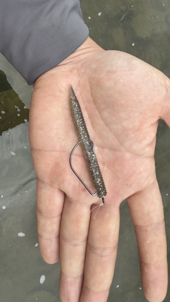 Unbalanced Free-Rig setup with a 3 inch worm and oversized hook(2/0)